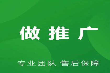 百度竞价与搜索引擎优化（SEO）结合的经典案例